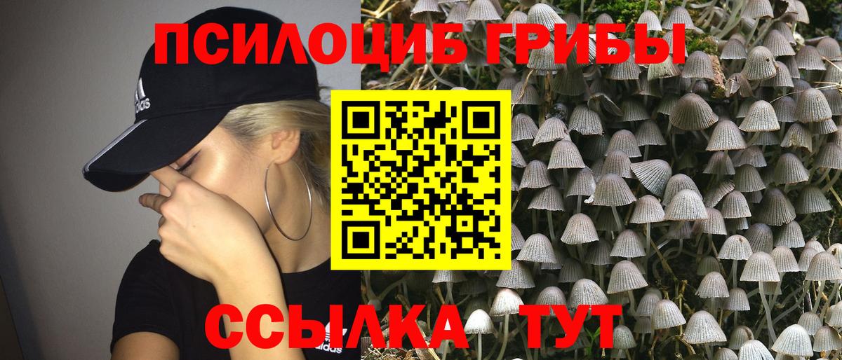 Галлюциногенные грибы MAGIC MUSHROOMS Краснокаменск